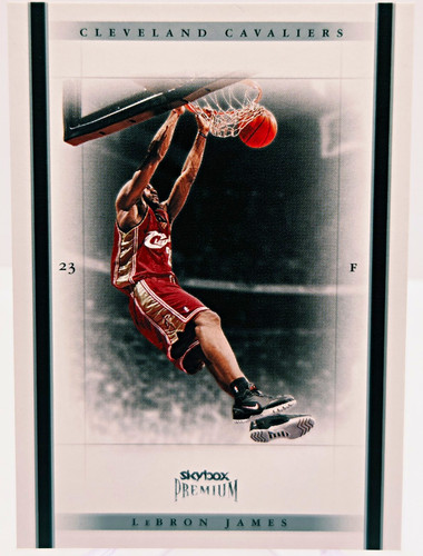 Fleer 2004 05 skybox - 🔥, 2004-05
